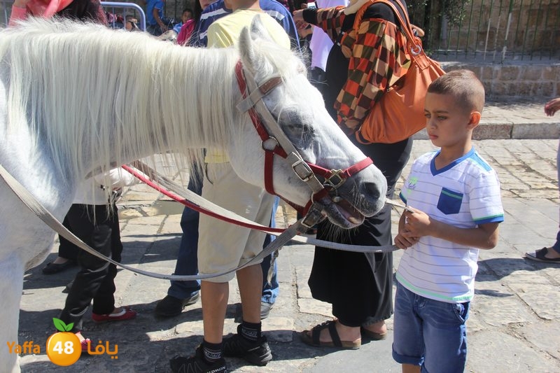 re7la ludj31 (61).JPG